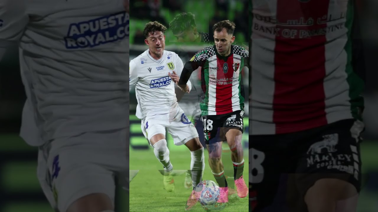 Palestino vs Universidad de Concepción ภาพวิดีโอไฮไลท์ฟุตบอล